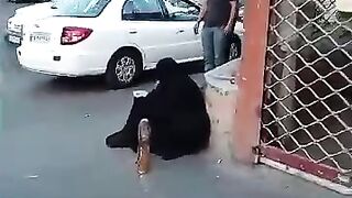 Funny vedio 124