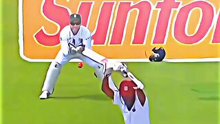Steyn bowling