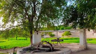 Our village 2