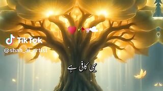 Islamic video 296