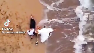 TikTok viral video TikTok video follow for more videos