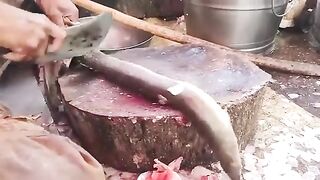 Amazing Fish Cutting Market