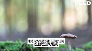 Videos NEW LEAK” Parbin Sultana 18+ Video Mengguncang Internet – Netizen Heboh