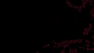 СРОЧНИ НОВИНИ 2