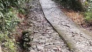 Very dangerous working