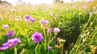 Bienen ????, Liebe ❤️, Honig ????, Herzchen ????, Romantik????????