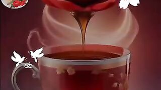Meherjee8608_foryou