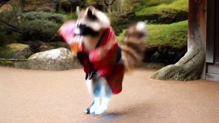 Wild Gucci World Tour????????