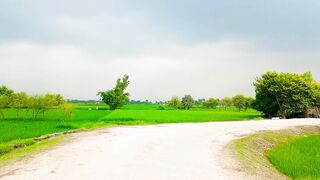 Khubsurat faslen gaon ki Zindagi beautiful village beautiful below shorts video please video viral video