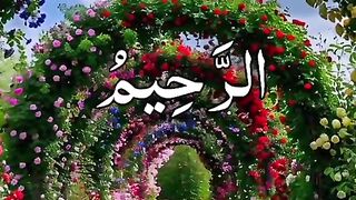 Drood shreef