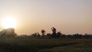 Nature 270