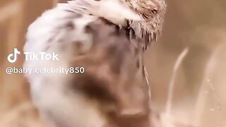 Song with full fun