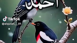 سبحان اللہ 15