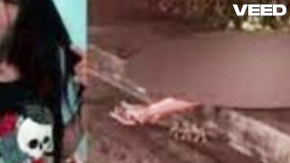 [Full Video] surubão hospital de teresopolis portal