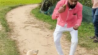লায়লা এখন ভালোবাসার পাগল _reels _funny _alamin9930