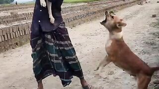 funny video 521 _reels _funny _alamin9930