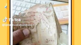Online earning app 2005 28