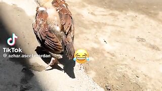 Pushpa Raj