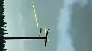 F16 Air Force zindabad