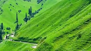 alag wade sab bewafa ha yaha khud se peyar karo
