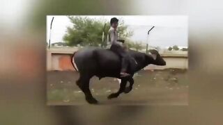 New Entertainment Top Funny Viral Trending Video Best Comedy in 2022 Episode 87 By Fun Tv 420