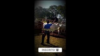 motivaçaodiaria
