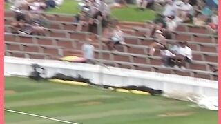 Cricket