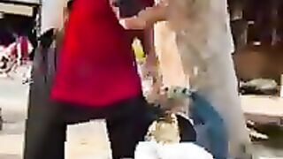 mafia tik tok video || gangster tik tok video || school friendship fight || boy attitude ||moj video