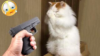 ❤ Funny Cats And Dogs - 2023 | Cute And Funniest Animals Compilation #1