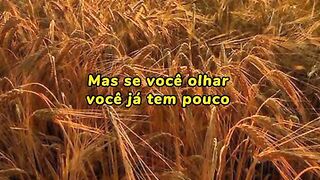 Motivaçaodiaria