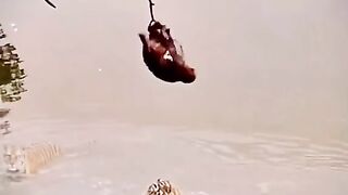 Interested video