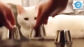 Cut baby funny video locol inemal