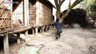 Funny Video 2023, Must watch New Comedy Videos, Amazing Funny video