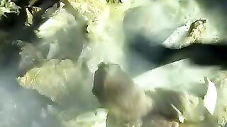 Taste meat rescpe