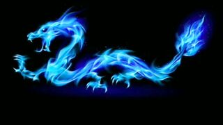 dragons