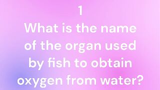 quiz about fish
