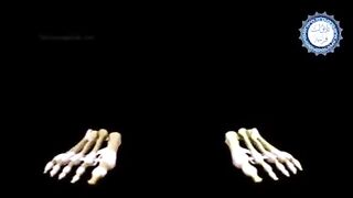 Allah,s creation to form a man body with bones
