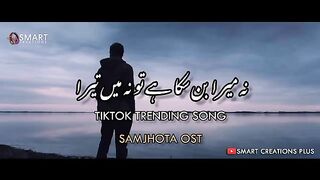 Na Mera Ban Saka Hai