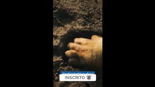 motivaçaodiaria