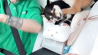 #FunVideo 101