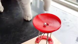 #FunVideo  #funnyreels