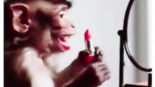 Funny video