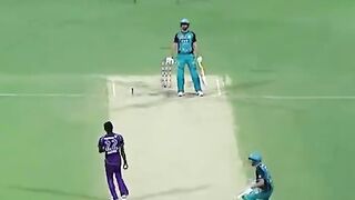 Cricket video clip 2