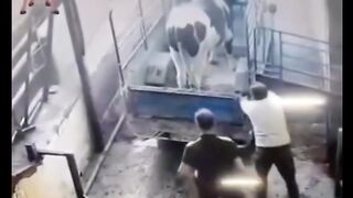 Follow aja, biar gak kudet tiap ada insiden seru! 7