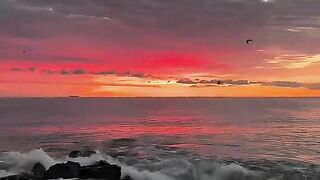 Islamic video 327