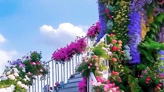 Beautiful ❤️❤️ video
