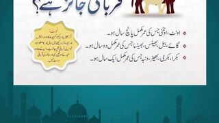 Top Qurbani Animals 2025 | Bakra & Cow Collection