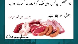 Bakra Eid 2025 Goat Showcase – Strong & Healthy