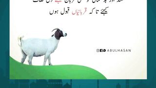 Cute Little Bakras for Kids – Eid 2025
