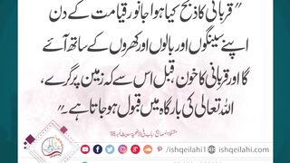 Eid Goat Showcase 2025 – Big & Beautiful